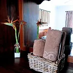 Casa Strelitzia