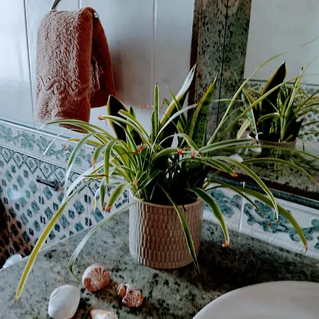Casa Strelitzia Вилла Насарет