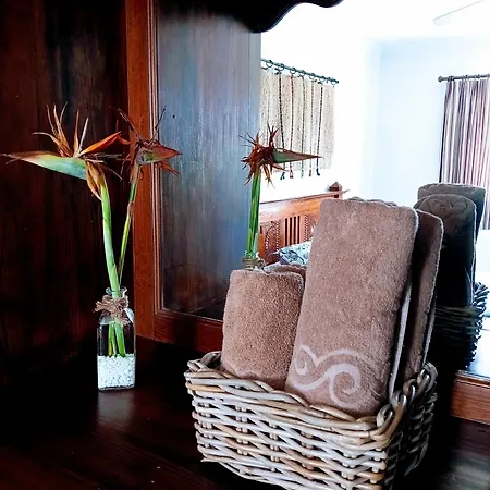 Casa Strelitzia