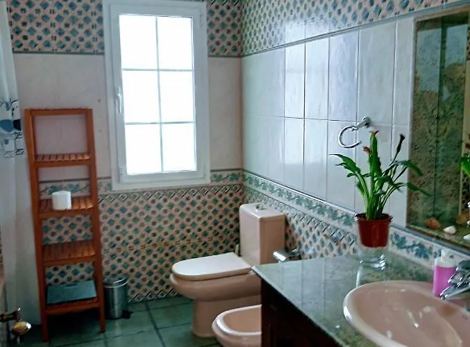 Casa Strelitzia