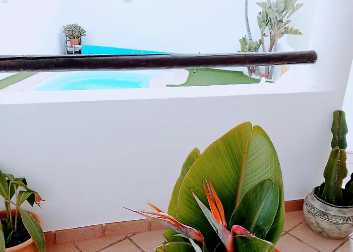 Casa Strelitzia 빌라 Nazaret
