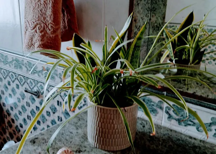 Casa Strelitzia 빌라 Nazaret