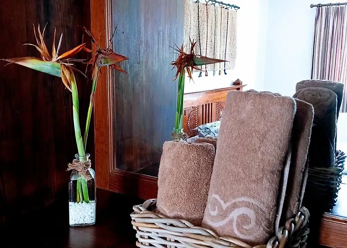 Casa Strelitzia